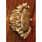 017-657 2 International Wholesale Set Knobs Drawer Gifts Antler