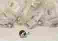 1308-g9 Amerock 15 Sterling Nickel Hardware Knob Pull Handle Silver Lot
