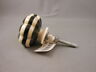 13757927 Unknown Nos Vtg Brown Tan Flower Drawer Pull Know Plastic