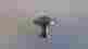 15825-dsn 15825 Century Lot Of 16 Satin Nickel 1-3 Solid Brass Mushroom Knob Pull