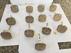 22215404 Anthropologie Nwt Lot 13 Anthropology