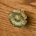 282530 Signature Hardware Solid Brass Daisy Cabinet Knob In Polished