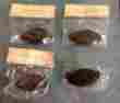 3418506 Pottery Barn Lot Of 4 Vintage Bronze Finish Drawer Bin Pulls Sku
