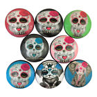546846465 Handmade Set Of Sugar Skull Animals Print Cabinet 722589224188