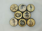 558747 Twisted Design Set Of Vintage Sealife Nautical Cabinet 0722589565151