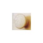 5728 Cal Crystal Wood Inch Diameter Mushroom Cabinet Knob