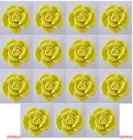 621213619133 Unbranded 30 Yellow Rose