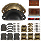 713289309633 Unbranded Antique Retro Shell Cabinet Knob Drawer Pull
