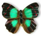 72-120 Siro Designs Butterflies Knob 749802721200