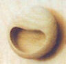 7707 Cal Crystal Wood Diameter Flush Cabinet Pull Oak
