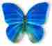 72-110 93027 Siro Designs Butterflies Knob 42 Mm Ol In Blue With Grey Set Of 10 Id 749802721101