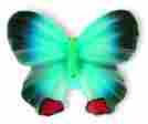 72-116 93030 Siro Designs Butterflies Knob 40 Mm Ol In Blue Navy Red Set Of 10 Id 749802721163