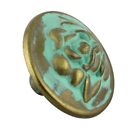 Dl-p2859-32vdg-20pak Old Rose Pattern Verdigris