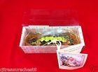 16037320 Handle Pull Whispering Collection Pea Garden Pod Drawer Silvestri
