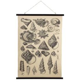 158639 Midwest Cbk Seashell Varieties Printed Canvas Wall Decor 41.25 Inches