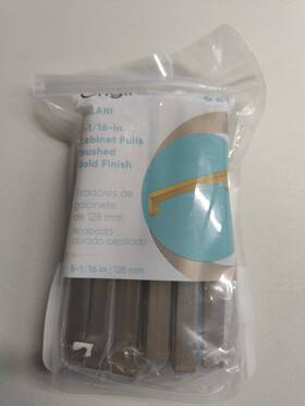 4068389 Origin 21 654880019142 Kalani 5-1/16 Inch 128mm Cabinet Pulls 6ct Brushed Gold