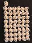 P624aac-alm-c Unbranded Plastic Kitchen Cabinet Knobs