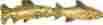 Sl-681404 Sierra Lifestyles Antique Brass Fish Pair Cabinet Pull Quantity 1 665416814049