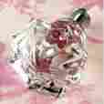 T10-lot Knob Romantic Decor More Glass Cabinet Knobs Kitchen Drawer Pull Furniture Handle Hardware 10 609408397967