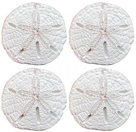 A30a Top Brass Realistic Large Sand Dollar Drawer Pulls/cabinet Knobs 4 Knob Set - Screws