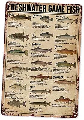 Fishvsafsadasa6 Vdueoje Fish Aluminum Metal Sign Freshwater Game Wall Decor Poster Home Bedroom