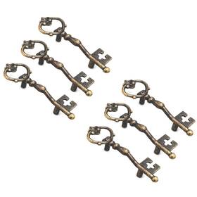 Weichuan80000520 Weichuan Antique Zinc Alloy Bronze Key Shape Knobs Pulls