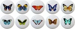 Set Of 10 Butterflies Butterfly Cabinet Drawer Pull Knob Ceramic. Fixed Price $42.40.