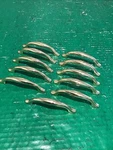 Lot Of 11 Kbc Keeler Brass Cabinet Drawer Pull #43861 Arch Handles 1993 Vintage. Fixed Price $24.95.
