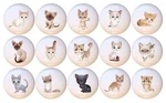 Set Of 15 Cats By Gp Ceramic Drawer Pulls Dresser Cabinet Knobs. Fixed Price $59.85.