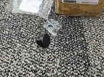 (qty 5) Amerock BP55270ORB Blackrock 1-5/16" Cabinet Knob Oil Rubbed Bronze. Fixed Price $26.10.