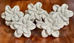 Set Of 5 Anthropologie Ceramic Cream White Flower Knobs/ Cabinet /drawer Pulls. Fixed Price $44.99.