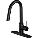 Home Impressions Contemporary Builder 1-HANDLE Lever Pull-down Kitchen Faucet,. Fixed Price $119.33.