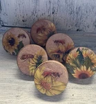 Sunflower Cabinet Knobs Furniture Refresh Drawer Pulls Set Of 6. Fixed Price $38.00.