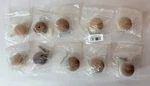 New 1/2" Unfinished Target Brand Birch Wood Knobs Drawer Pulls Set 10 Screws. Fixed Price $15.00.