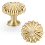 Fapual 10 Pack Gold Cabinet Knobs For Kitchen Single Hole, Brushed. Fixed Price $26.52.
