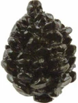 Sierra Lifestyles SL-681325 Pinecone Cab Knob, Black. Fixed Price $8.95.