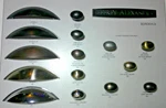 Jeffrey Alexander Bordeaux Series 15 Oval Egg Shaped Knobs & Cup Handle Pulls. Fixed Price $99.95.