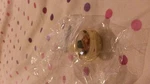18PC Amerock BP1910-PB Polished Brass Cabinet Knobs 1-1/4" Round With Screws New. Fixed Price $25.99.