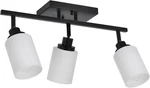 Black 3-LIGHT Track Lighting With Opal Glass For Kitchen & Hallway. Fixed Price $171.99.