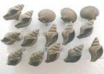 15 Drawer Pulls Cabinet Knobs Handles Seashells Metal W/screws New Beach Decor. Fixed Price $33.00.