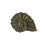 Zeckos Set Of 6 Rustic Bronze Cast Iron Nautilus Shell Drawer Pull Home Decor. Fixed Price $24.61.