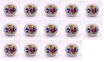 14 Knobs Cabinet Drawer Dresser White Ceramic Multi-colored Floral 2 Screws. Fixed Price $26.00.