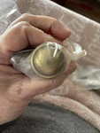 Amerock Reflections Regency Brass 1/4" Round Cabinet Pull Knob BP1387R1 Set-. Fixed Price $14.95.