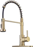 Brushed Gold Kitchen Faucet With Pull Down Sprayer, Rv Brass Stai. Fixed Price $96.39.