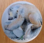 Ceramic Cabinet Knobs American Polar Bear Cub Wildlife. Fixed Price $5.25.