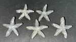 Drawer Pulls Cabinet Knobs Handle 1.75" Nautical Ocean. Fixed Price $34.00.