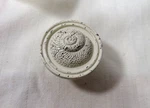 Liberty Hardware Seaside Cottage Nautilus Shell Cabinet Knob, Antique White-. Fixed Price $6.99.
