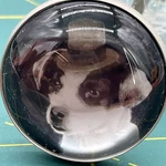 Lilac Bow Yoke Set Of 2 Drawer Pulls Cabinet Knobs Dogs Hats. Fixed Price $21.00.