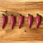 The Stuck Up Co. Red Chili Pepper Shaped Drawer / Cabinet Knobs. Fixed Price $49.99.