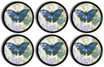 Blue Butterfly Cabinet Knobs Vintage French Floral Drawer Pulls 4PC 6PC Set. Fixed Price $25.00.